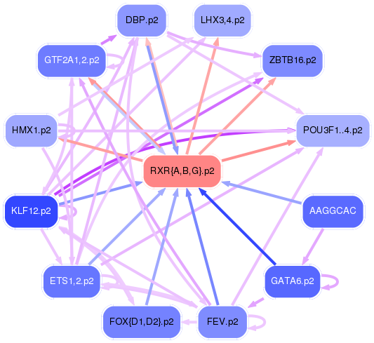 PNG image of the network